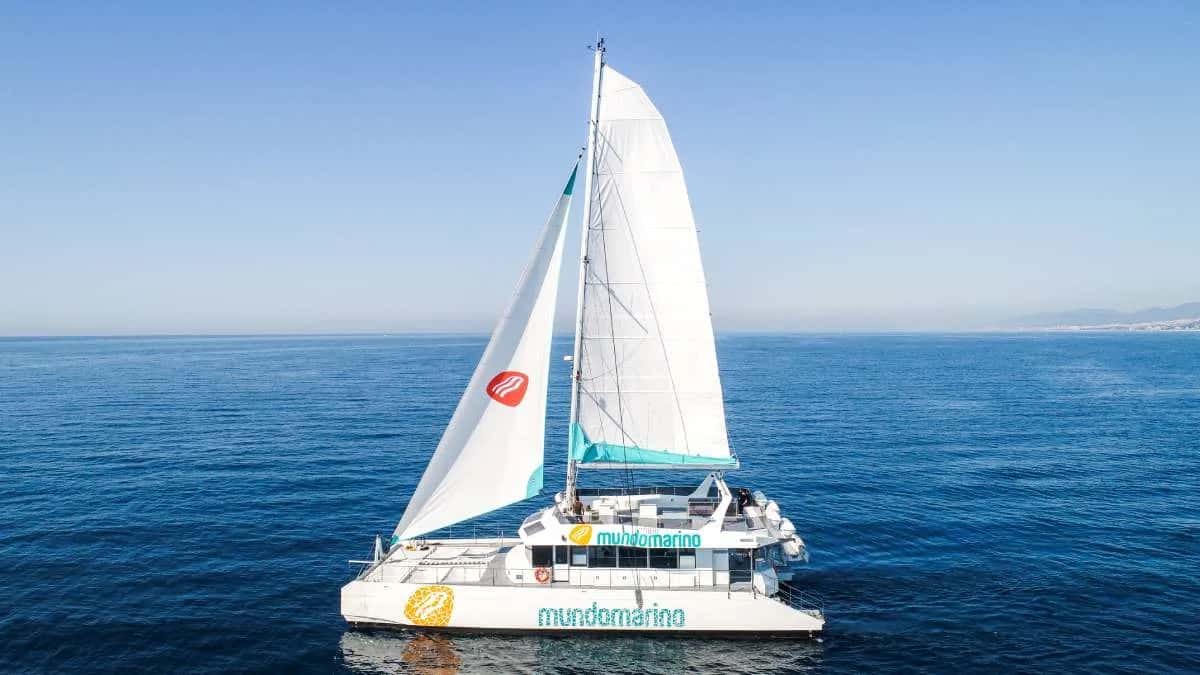 Hybrid Catamaran Experience: The Future of Sailing in Malaga