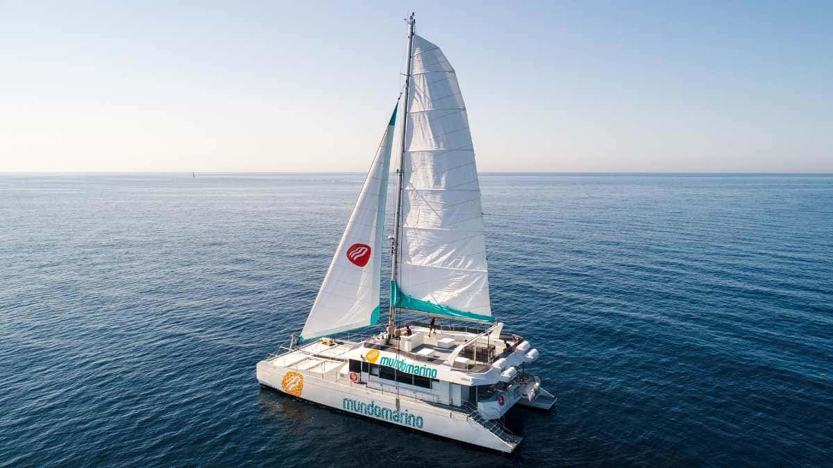 Paseo en eco catamarán con baño