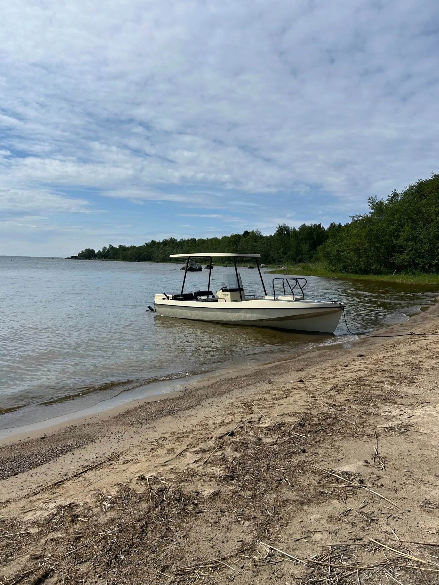 Side view of the Elvene Amber solar-electric boat moored in shallow water beside a beach.