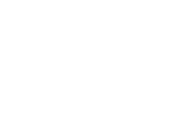 Efoil Club
