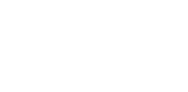 Magonis logo
