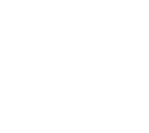 Solann