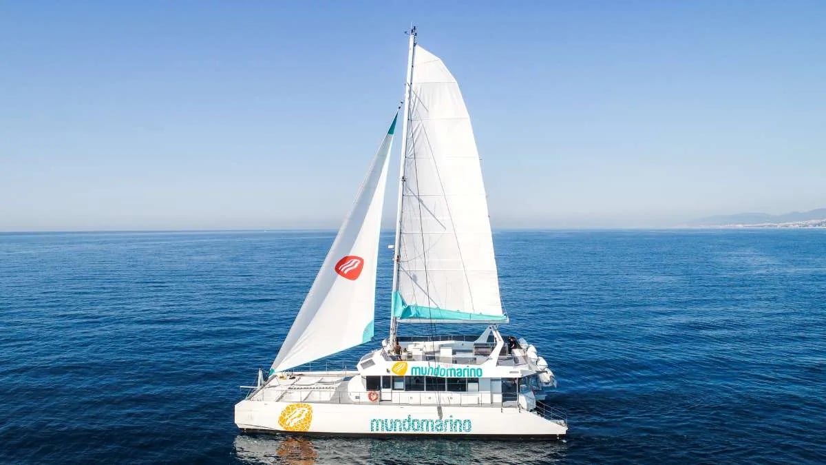 Hybrid Catamaran Experience: The Future of Sailing in Malaga