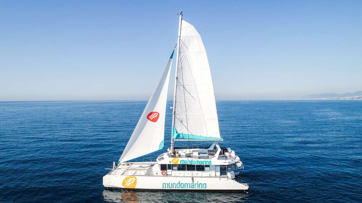 Hybrid Catamaran Experience: The Future of Sailing in Malaga, image 3