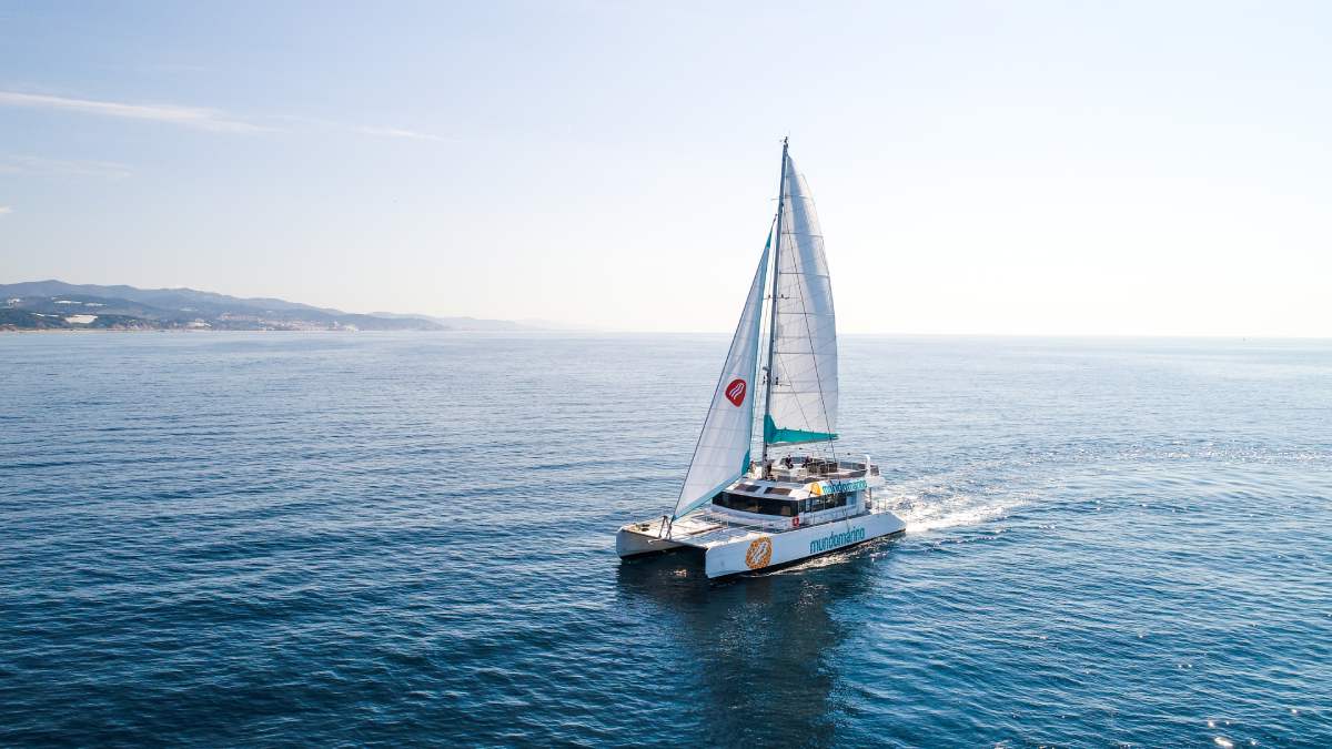 Eco Catamaran Cruise with Swimming, image 4
