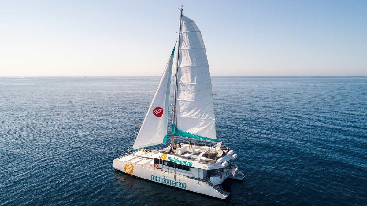 Eco Catamaran Cruise with Swimming